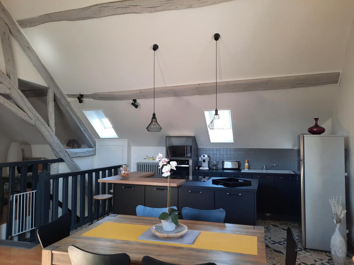 Grand Appartement Tout Confort Proche De Chambord Saint-Claude-de-Diray Exterior foto